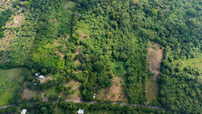 venta de terreno en cosoleacaque