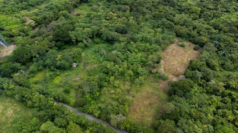 venta de terreno en cosoleacaque1