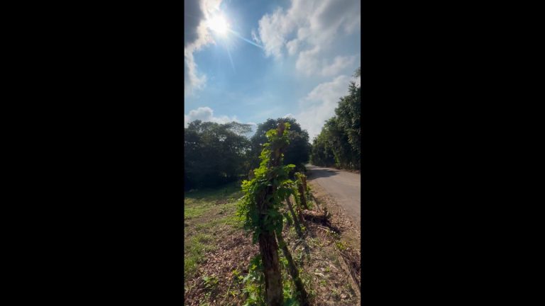 venta de terreno en cosoleacaque3